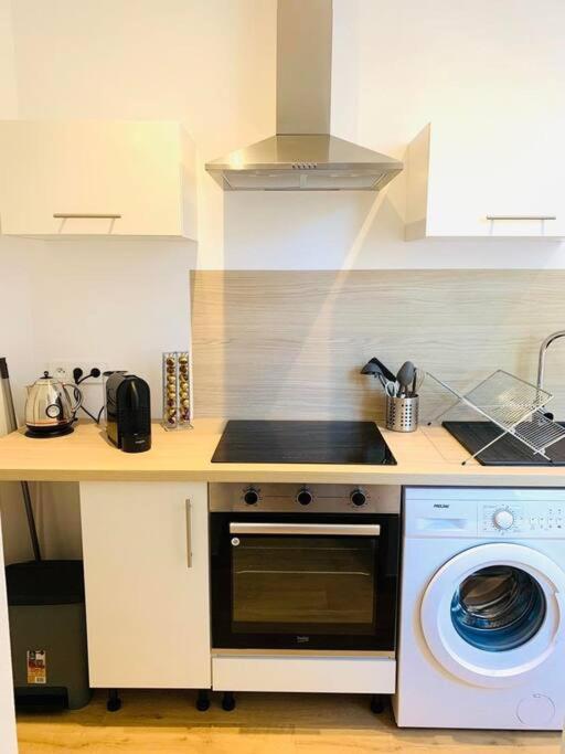 Appartement Plein Centre パライユ・ル・モニアル エクステリア 写真